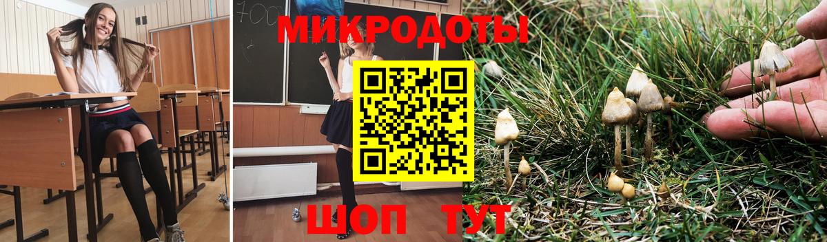 Псилоцибиновые грибы мухоморы  Псилоцибиновые грибы Magic Shrooms  Домодедово  Вход с VPN 